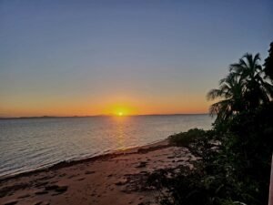 Beach scene with sunset over calm waters and tropical foliage in silhouette.