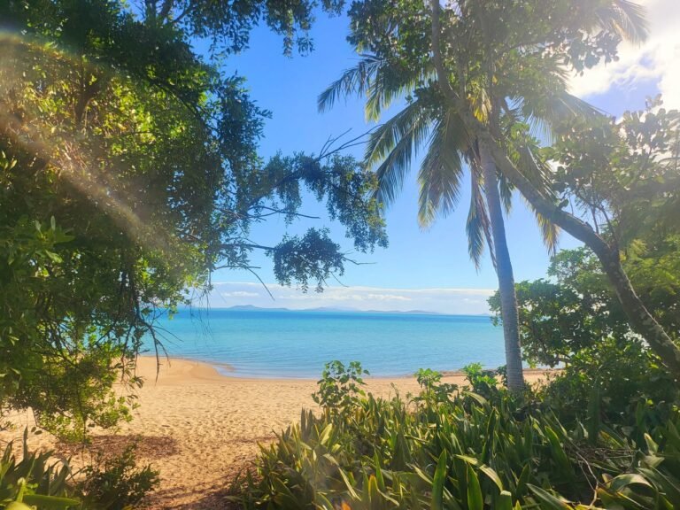Tranquil Tropical Beach Paradise With Lush Greenery And Calm Ocean View